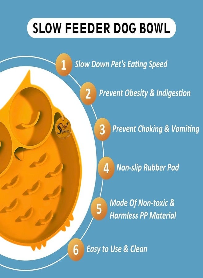 سايج سكوير وعاء طعام الكلاب من سيج سكوير - لعبة ممتعة لإبطاء الأكل، تساعد على الهضم، تقلل من خطر الاختناق والبلع السريع، مانع للانزلاق، متين، مثالي للكلاب الصغيرة والكبيرة (التصميم 3) - Image 5